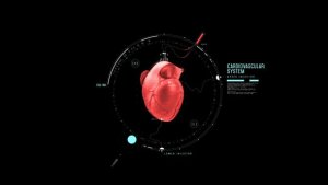 Videohive HUD Heart Chambers Infographics template preview