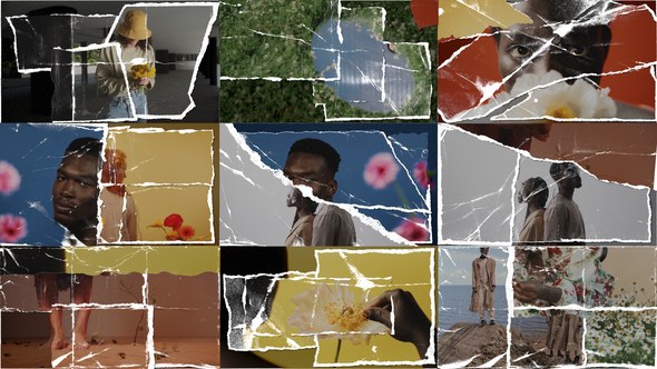 Videohive Wrapped Paper Transition Elements template preview