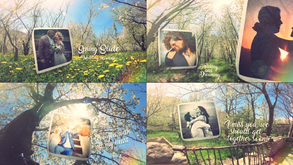 Videohive Spring Wedding Slide Openers template preview