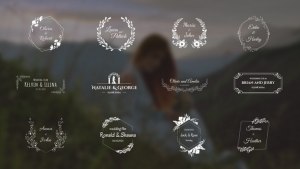 Videohive Wedding Titles Pack / AE Titles template preview