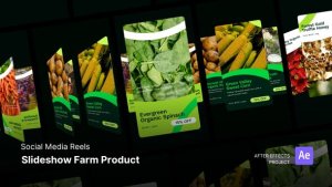 Videohive Reels - Slideshow Farm Product After Project Files Product Promo template preview