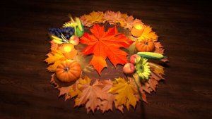 Videohive Thanksgiving Logo Openers template preview