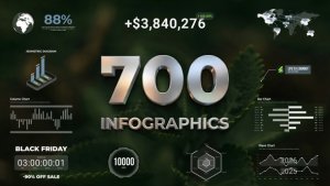 Videohive Infographics 57613485 Infographics template preview