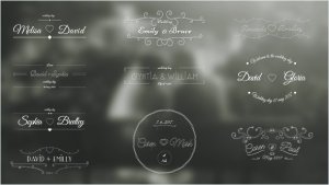 Wedding Labels Video Displays template preview