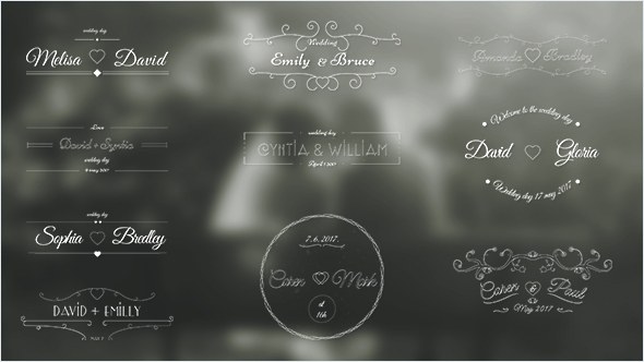 Wedding Labels Video Displays template preview