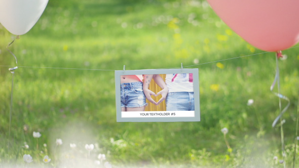Videohive Photo Gallery - Our Happy Day Video Displays template preview