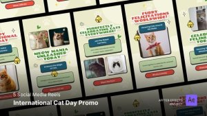 Videohive International Cat Day Promo Instagram Reels Product Promo template preview