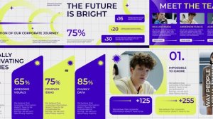 Videohive Corporate Infographic 57709992 Video Displays template preview
