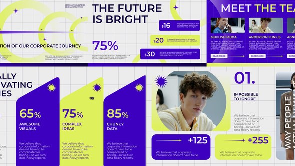 Videohive Corporate Infographic 57709992 Video Displays template preview