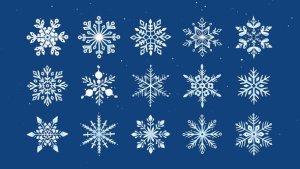 Videohive Snowflake Icon Animations Elements template preview