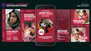 Videohive Charity & Nonprofit instagram Stories Product Promo template preview