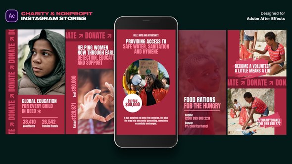 Videohive Charity & Nonprofit instagram Stories Product Promo template preview