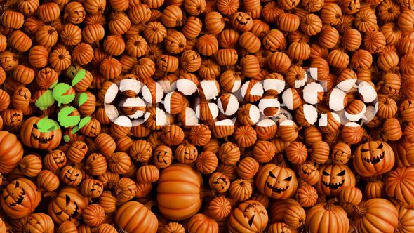 Videohive Halloween Pumpkins Logo Reveal Broadcast-packages template preview
