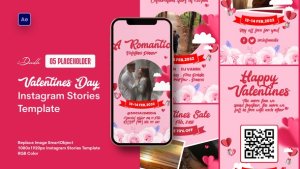 Videohive Valentine's Day Instagram Stories Template Product Promo template preview