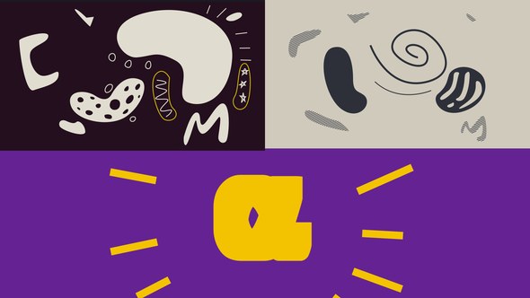 Videohive Freestyle Logo Intro Logo Stings template preview