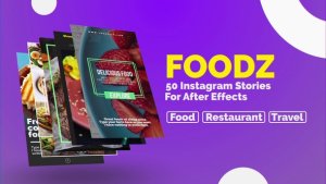 Videohive Foodz Instagram Stories Openers template preview