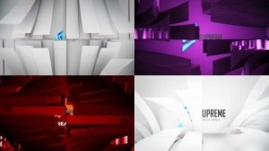 Videohive Simple Unfold Logo Reveals Openers template preview