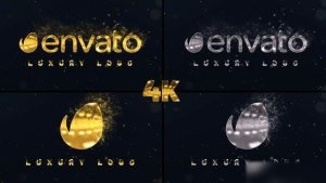Videohive Golden Logo Reveal 40173232 Logo Stings template preview