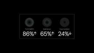 Videohive Infographics 58393336 Infographics template preview