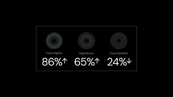 Videohive Infographics 58393336 Infographics template preview