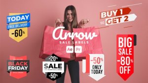 Videohive Arrow Sale Labels Titles template preview