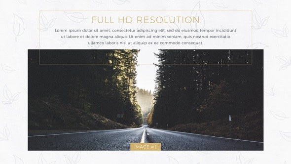 Videohive Stylish Minimal Slideshow Video Displays template preview