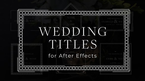 Videohive Vintage Wedding Titles 47105126 Titles template preview