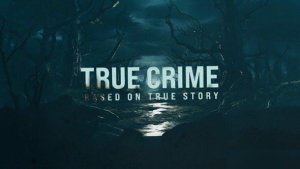Videohive True Crime Logo Reveal Logo Stings template preview