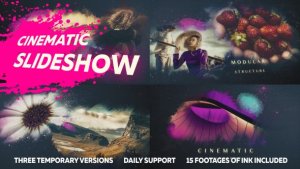 Videohive Ink Slideshow Presentation Openers template preview