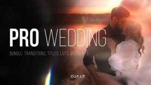 Videohive Pro Wedding Bundle вЂ“ Transitions, Titles, LUTs, Overlays Elements template preview