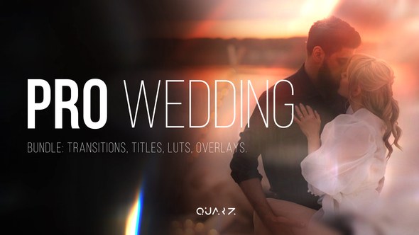 Videohive Pro Wedding Bundle вЂ“ Transitions, Titles, LUTs, Overlays Elements template preview