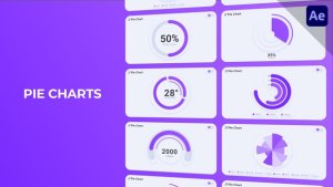 Videohive Infographics Pie Charts 53080836 Infographics template preview
