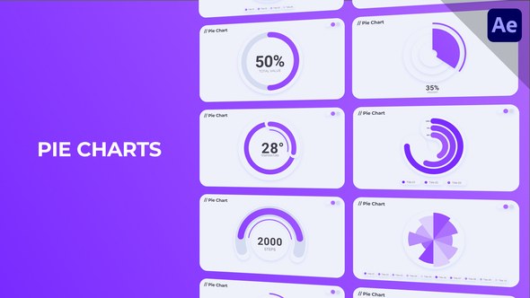 Videohive Infographics Pie Charts 53080836 Infographics template preview