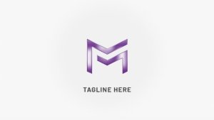 Videohive Logo Reveal 47199956 Logo Stings template preview