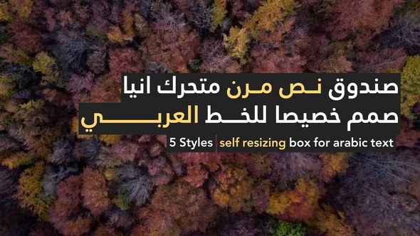 Arabic Stories Video Displays template preview