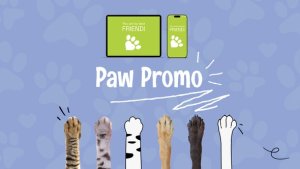 Videohive Paw Promo Video Displays template preview