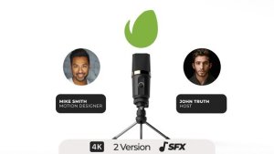 Videohive Tonight Podcast Logo Stings template preview