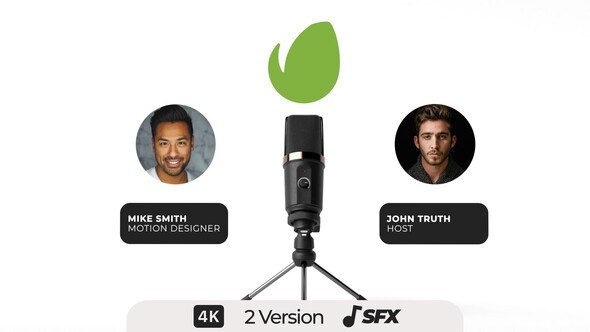 Videohive Tonight Podcast Logo Stings template preview