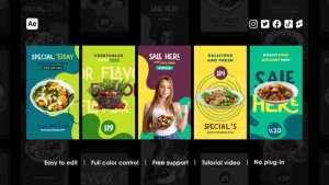 Videohive Healthy Food Instagram Reels Product Promo template preview