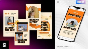 Videohive Nears Instagram Story Video Displays template preview