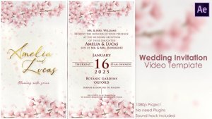 Videohive Wedding Invitation 2 57013500 Titles template preview