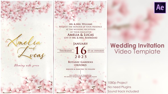 Videohive Wedding Invitation 2 57013500 Titles template preview