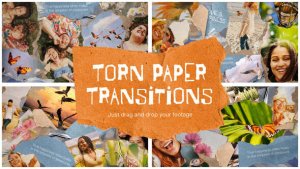 Videohive Torn Paper Scrapbook Transitions Elements template preview