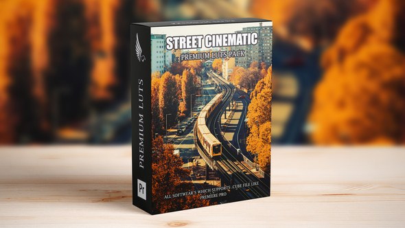 Cinematic Moody Street Hollywood Film Look LUTs Pack Premiere Pro template preview