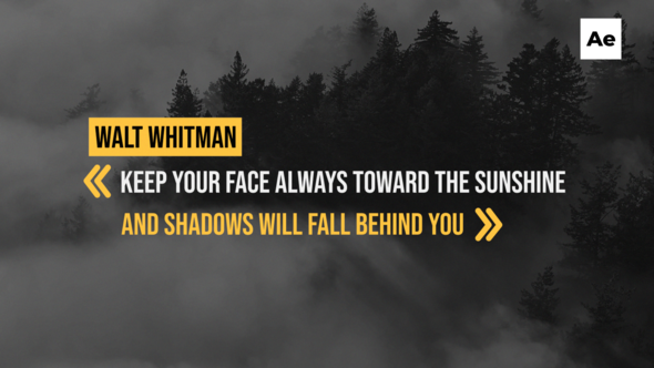 Videohive 16 Corporate Quotes Titles /Ae 58311669 Titles template preview
