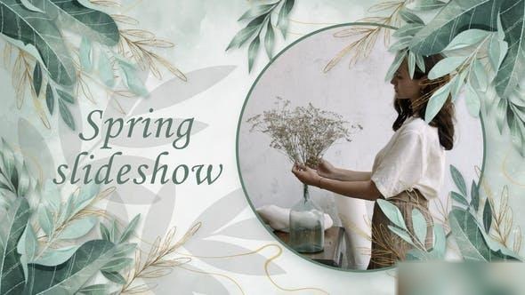 Videohive Spring Slideshow 51406252 Openers template preview