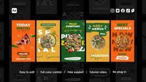 Videohive Fast Food Instagram Reels Product Promo template preview