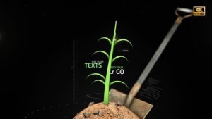 Videohive Organic Growth Openers template preview