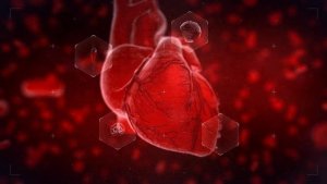 Videohive Heart Reveal Openers template preview
