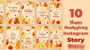 Videohive Happy Thanksgiving Instagram Stories Openers template preview